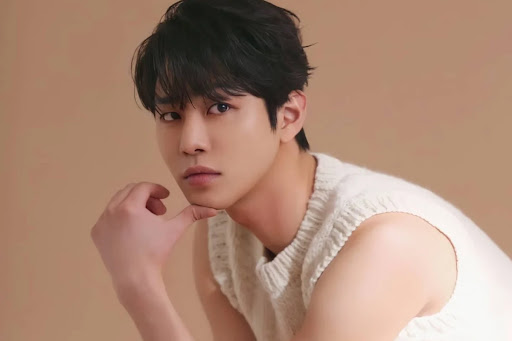 Ahn Hyo Seop: Diễn viên đa tài và hành trình vươn lên thành nam thần hàng đầu