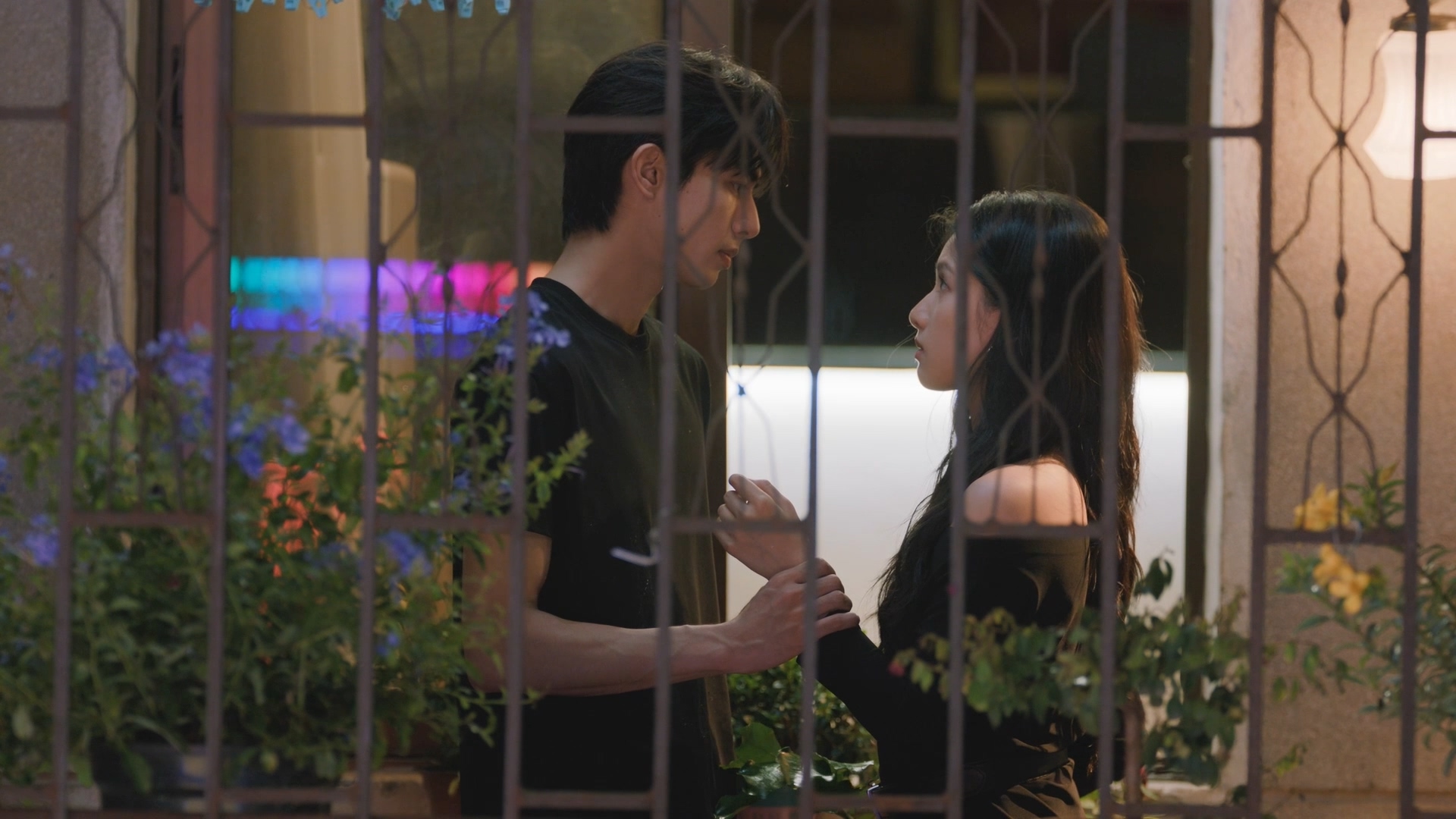 Chó Hoang Và Xương - 348623