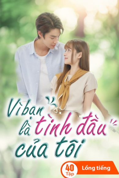 Vì Bạn Là Tình Đầu Của Tôi