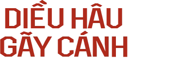 Diều Hâu Gãy Cánh